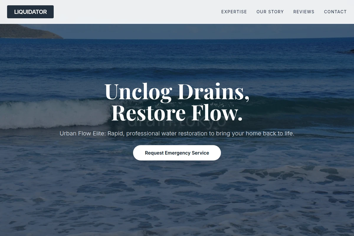 Liquidator Water Restoration