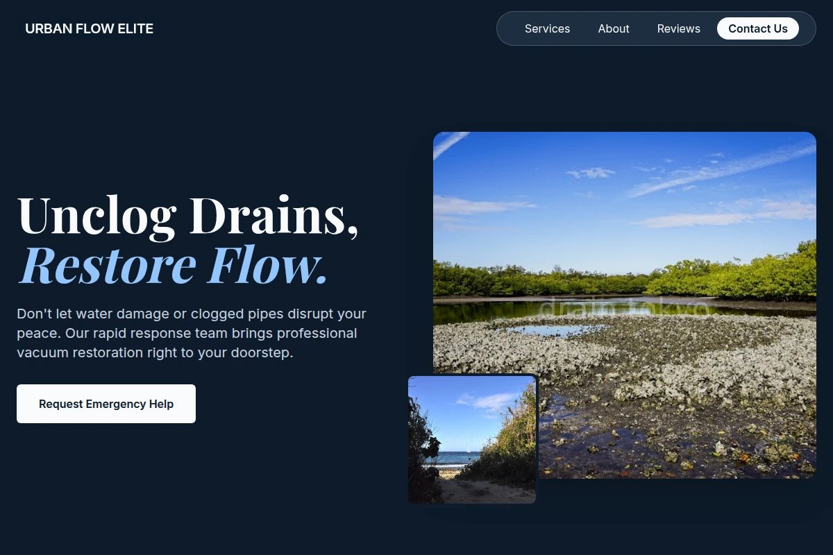Vacuum Water Restoration